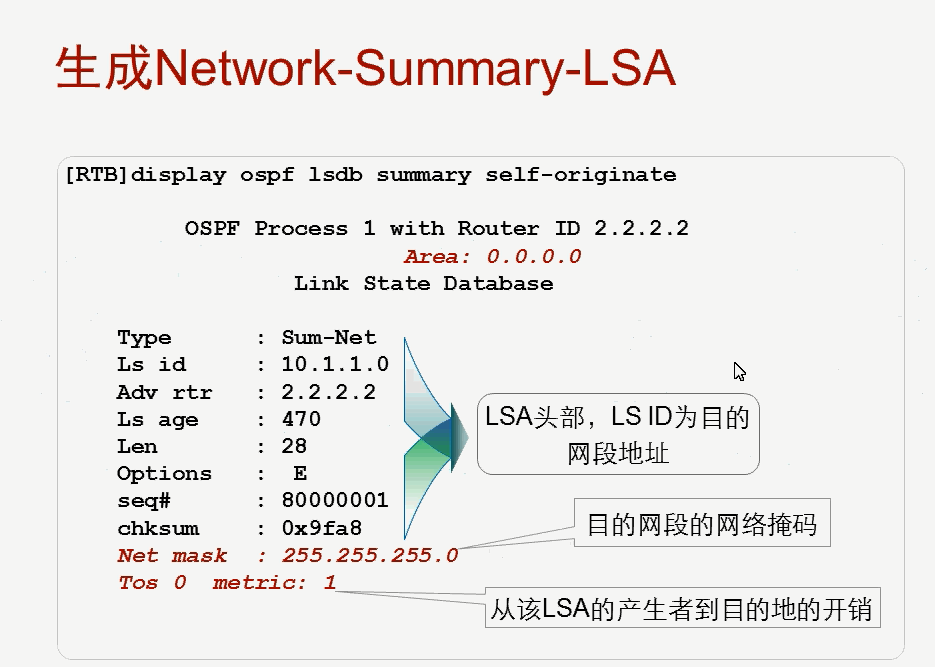 Ospf csdn 