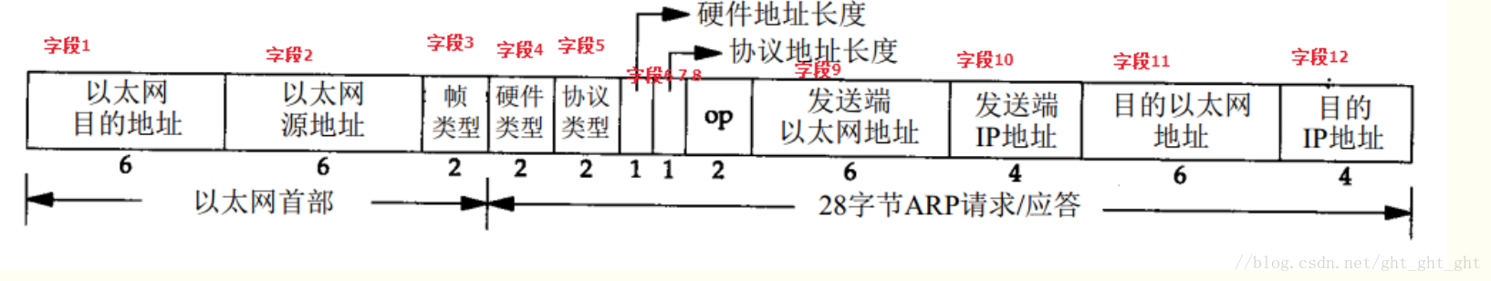 arp 协议栈数据格式