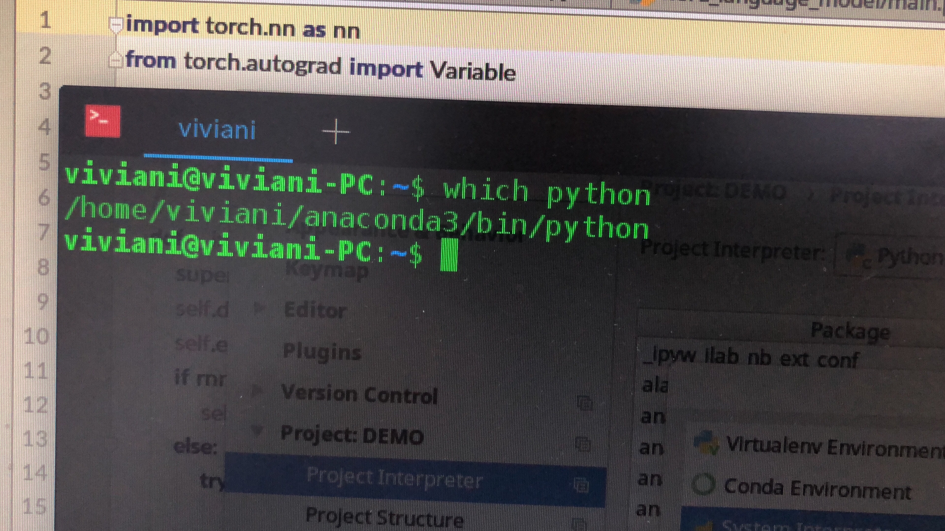 Модуль torch python