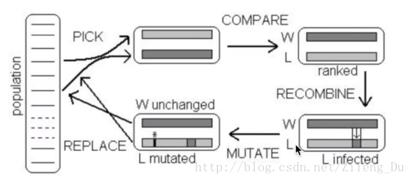 莫凡Python学习笔记——Microbial Genetic Algorithm