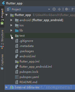 flutter project结构