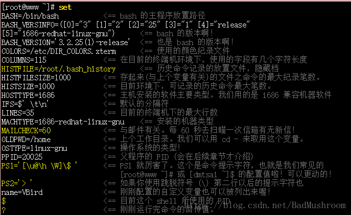 鸟哥的linux私房菜学习笔记 三 学习shell 与shell Scripts 认识与学习bash Icebear6的博客 Csdn博客