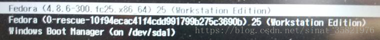 uefi+gpt下win10/fedora双系统实现方案