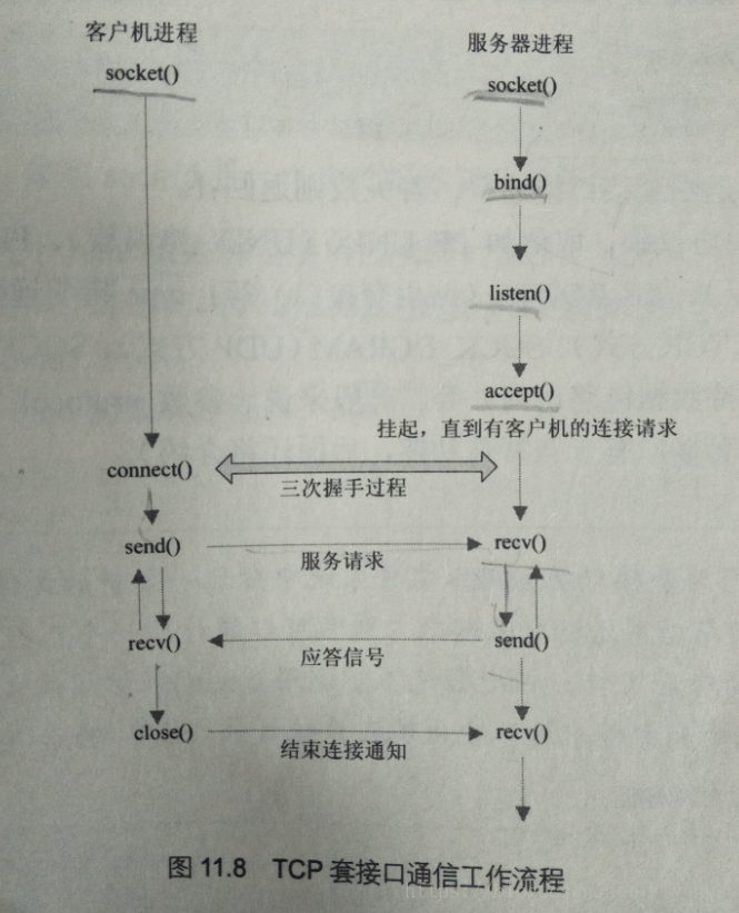 Linux C网络编程 ————1、TCP网络编程