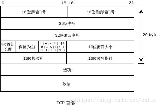 TCP 头部