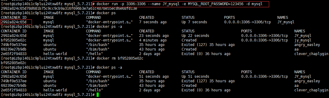 Docker 上安装、启动 MySQL （图解）「建议收藏」