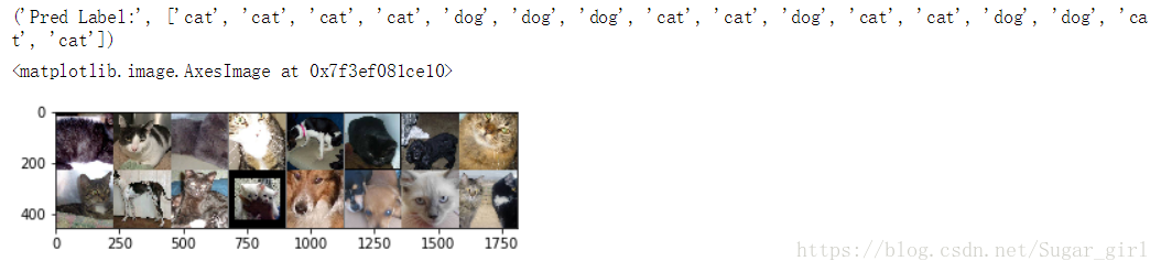 利用pytorch实现迁移学习之猫狗分类器(dog vs cat)