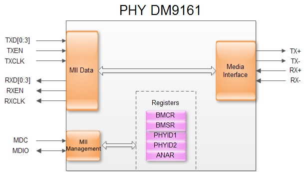 PHY