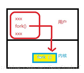 fork（）函数到内核