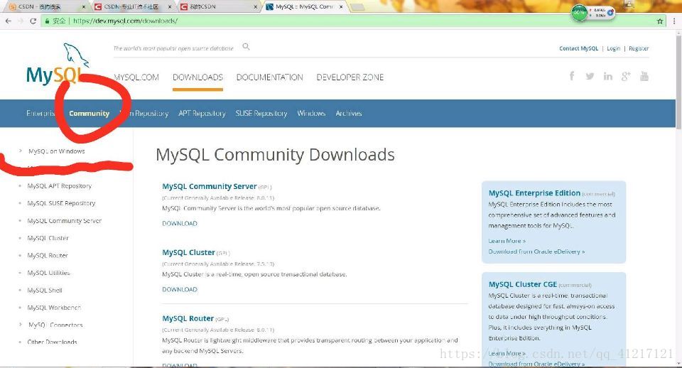 點選Community -> MySQL  on Windows