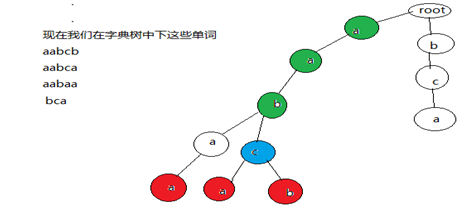 字典树详解「建议收藏」