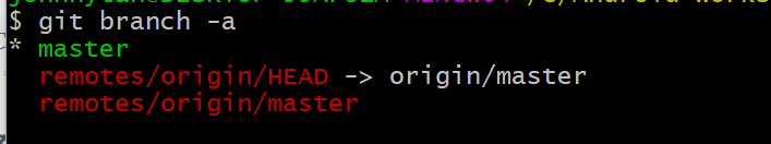 git branch -a