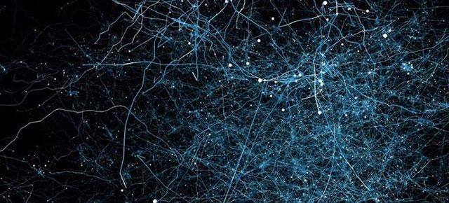 如何正确理解神经网络在NLP领域的运用