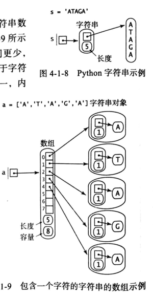 字符串和字符串数组