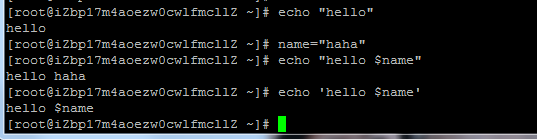 linux echo用法_shell中echo命令详解[通俗易懂]