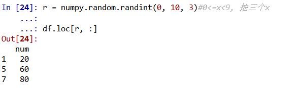 Numpy Random Randint Return Value