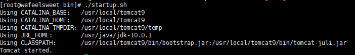 Linux安装tomcat，配置环境变量