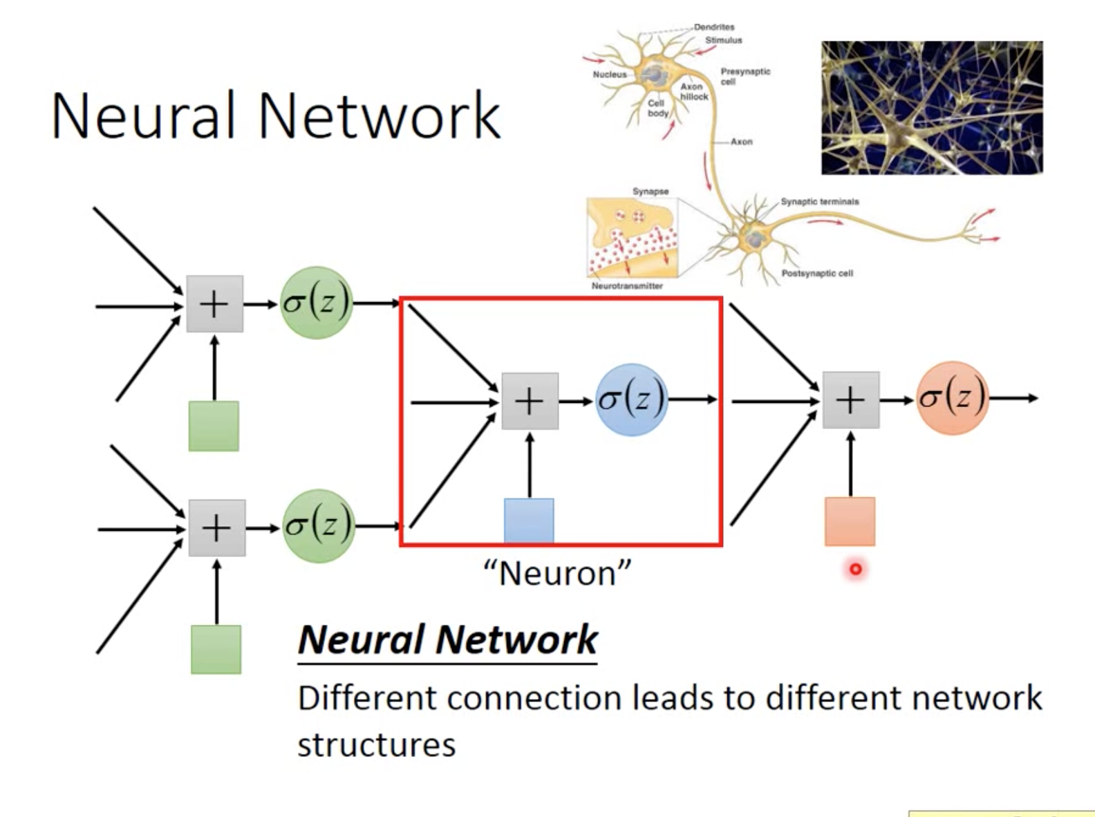 Нейросеть аналог миджорней. Bias нейронные сети. Neural Network Weight. Neural Network structure. Weights and connection Neural Network.