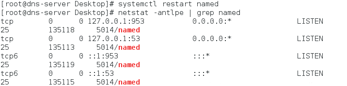 linux下DNS配置及域名解析服务