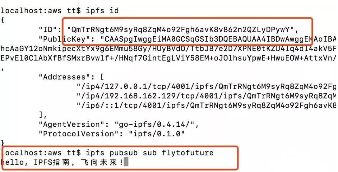 【董天一】IPFS: pubsub功能的使用_使用