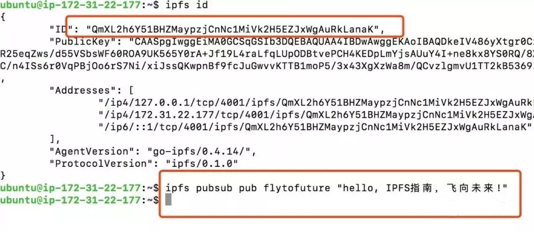 【董天一】IPFS: pubsub功能的使用_IPFS_02