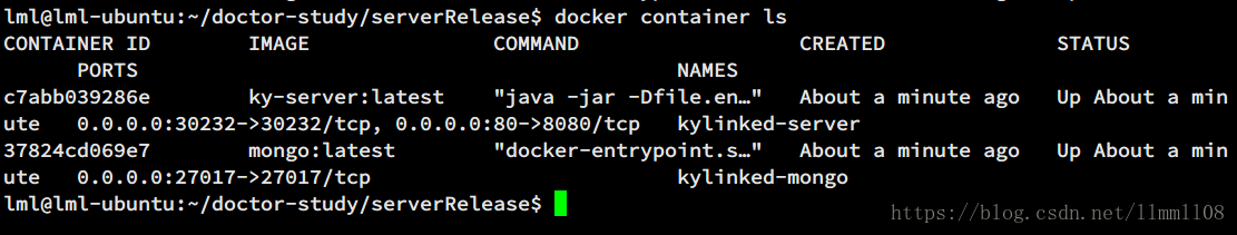 Docker 容器运行状态