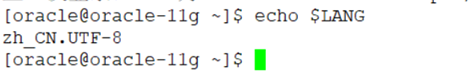 Linux/Centos安装oracle11G数据库-史上最详细的图文安装数据库方法「建议收藏」