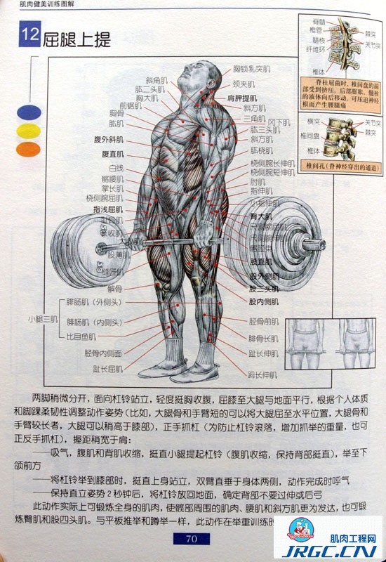 程序员健身增肌图解大全