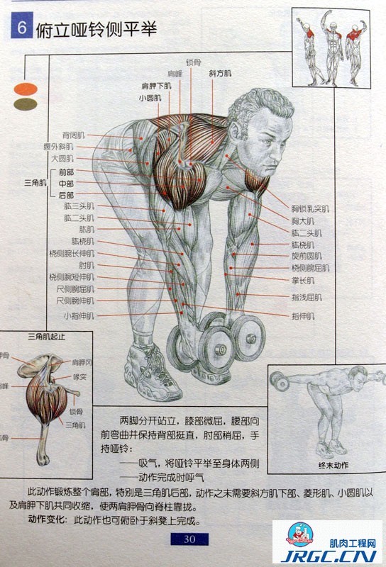 程序员健身增肌图解大全