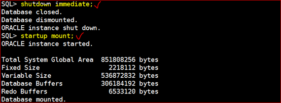 Oracle 11g R2 Rman备份与恢复[亲测有效]