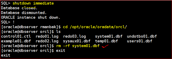 Oracle 11g R2 Rman备份与恢复