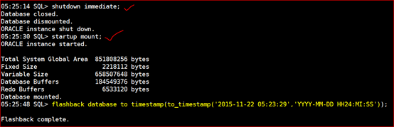 Oracle 11g R2 Rman备份与恢复[亲测有效]