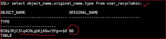 Oracle 11g R2 Rman备份与恢复[亲测有效]