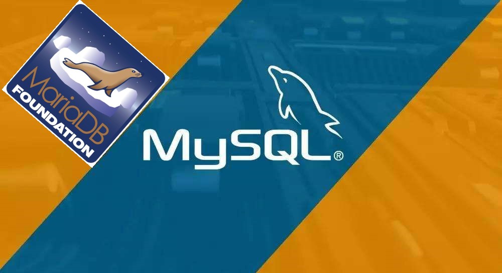 II-5.MySQL