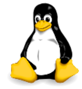 1.2.10 Linux