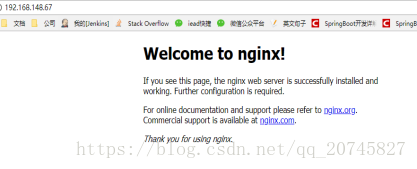 Nginx ssl local network