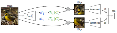 从STN网络到deformable convolution