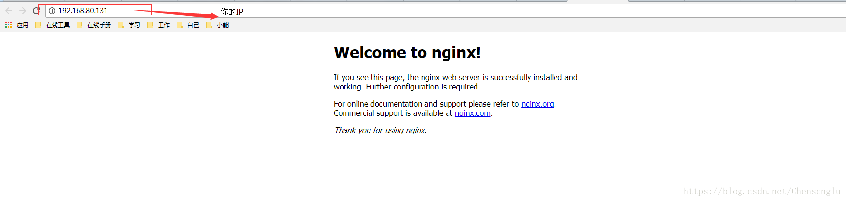 Nginx 1.21