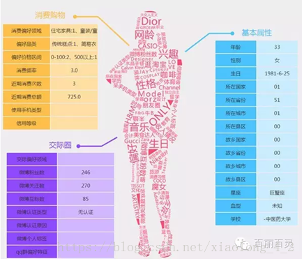 什么是用户画像 该怎么分析 十色花的博客 Csdn博客