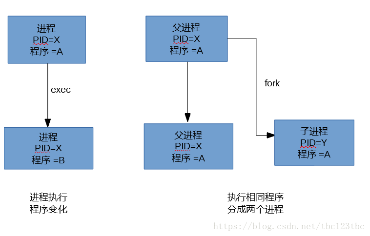 Отсутствует аргумент у exec linux