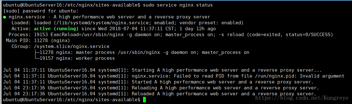 nginx status