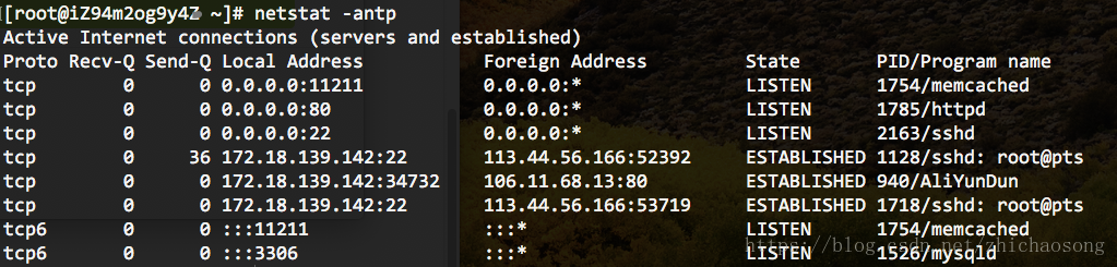 netstat效果截图