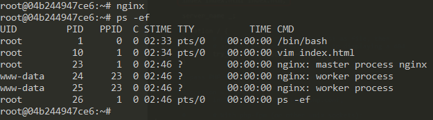 运行Nginx