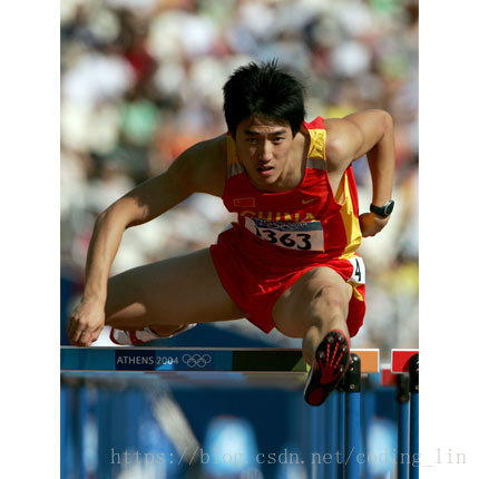 ZOJ2972 Hurdles of 110m java