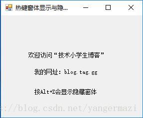 blog.tag.gg 技术小学生博客