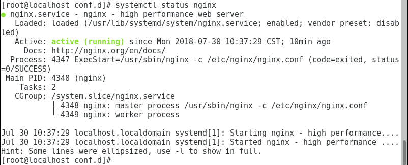 nginx启动失败