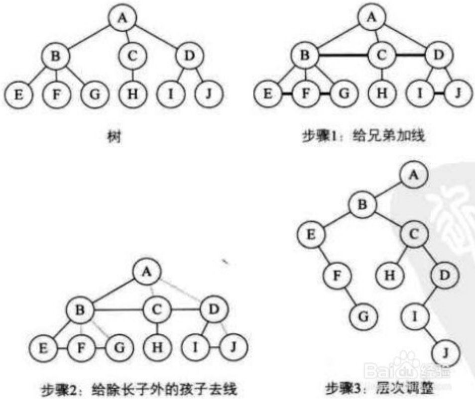 数据结构知识整理
