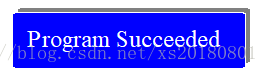 program success
