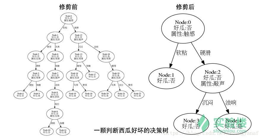 修剪