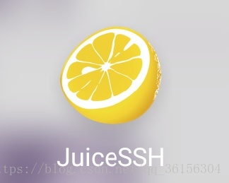 JuiceSSH